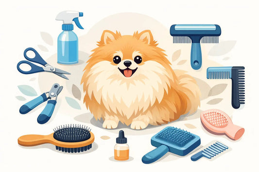 8 Essential Pomeranian Grooming Tools for Fluff - Cindy Pomeranian