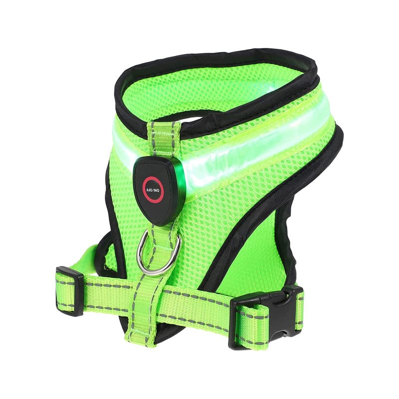 Premium Rechargeable LED Dog Harness - Cindy Pomeranian