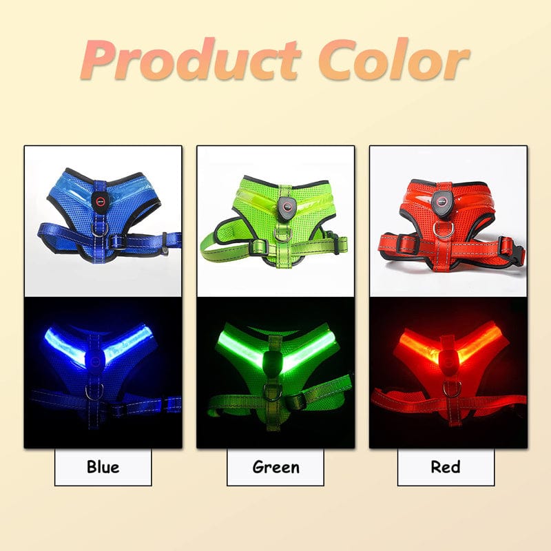 Premium Rechargeable LED Dog Harness - Cindy Pomeranian