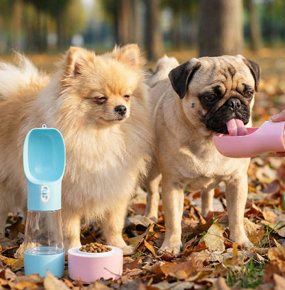 Portable Water Bottle For Travel And Walks - Cindy Pomeranian