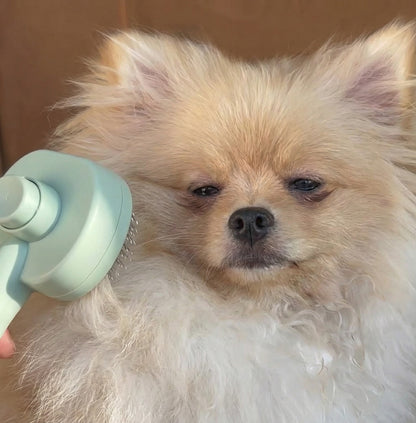 Pet Premium Grooming Brush - Cindy Pomeranian