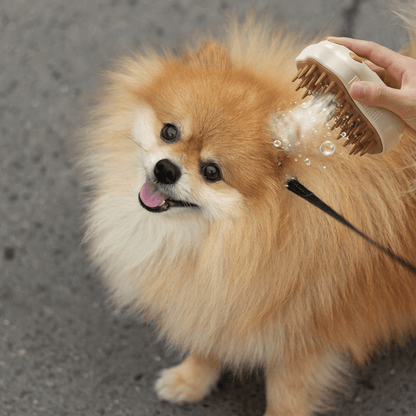 Pet Spray Comb Brush For Cats And Dogs - Cindy Pomeranian