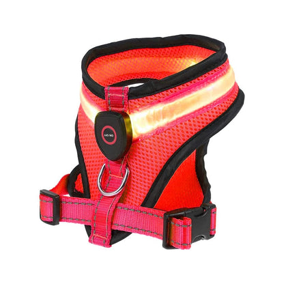 Premium Rechargeable LED Dog Harness - Cindy Pomeranian