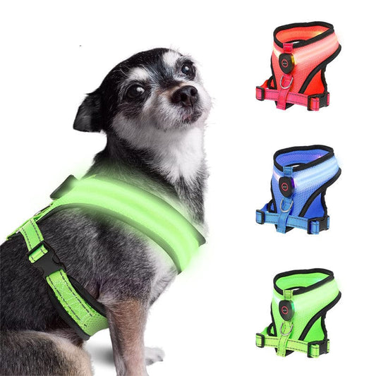 Premium Rechargeable LED Dog Harness - Cindy Pomeranian